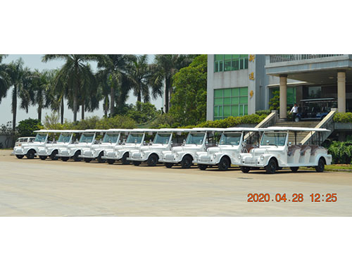 11座豪華版老爺車整裝待發(fā)